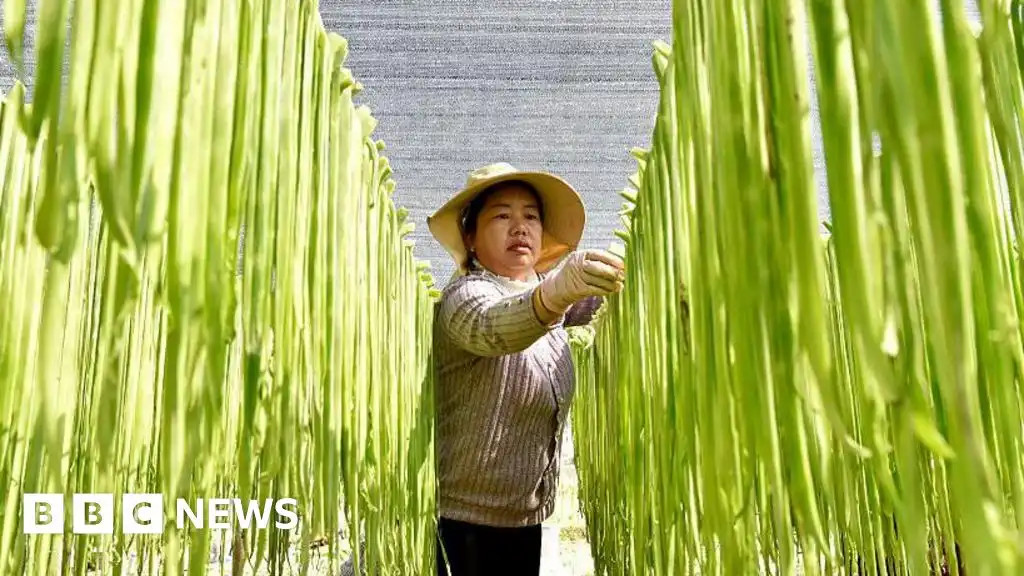 China should stop hoarding food and fertiliser, says former World Bank chief