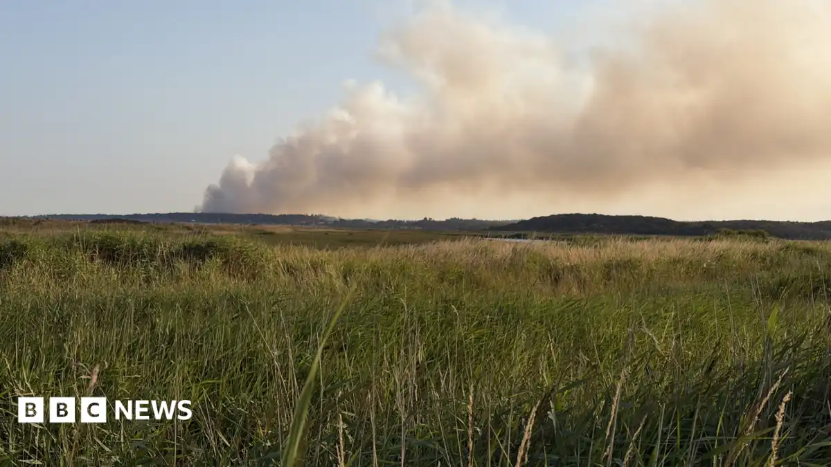 Crews tackle large fire on Dunwich Heath in Suffolk
