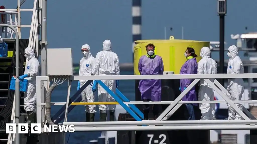 Cruise hit by hantavirus outbreak docks in Rotterdam, final destination