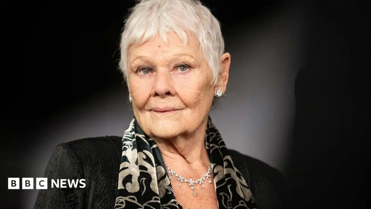 Dame Judi Dench: I can't do a play, do a film, or read any more