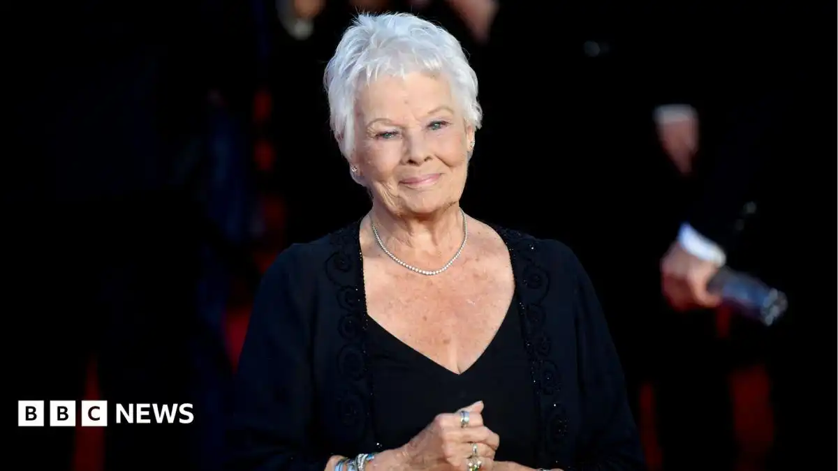 Dame Judi Dench: I can't do a play, do a film, or read anymore