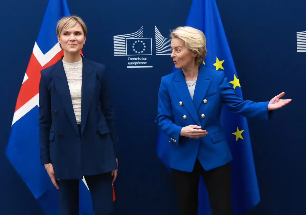 Daniel Hannan: „Ísland ætti að vita betur en falla í gildru ESB“