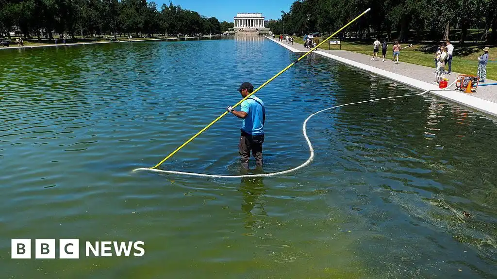Davey Hearn: Former Olympian denies vandalising Washington Reflecting Pool after arrest