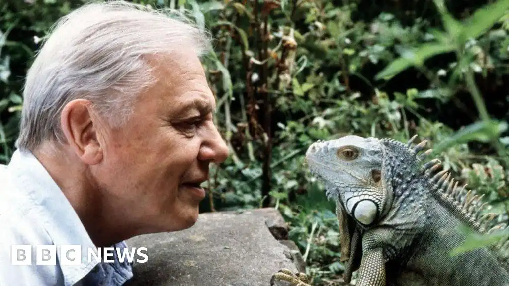 David Attenborough says he is 'overwhelmed' by 100th birthday messages