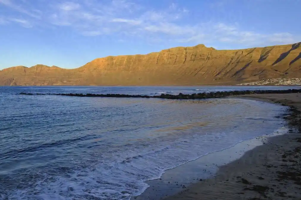Dead shark found on the coast of Lanzarote