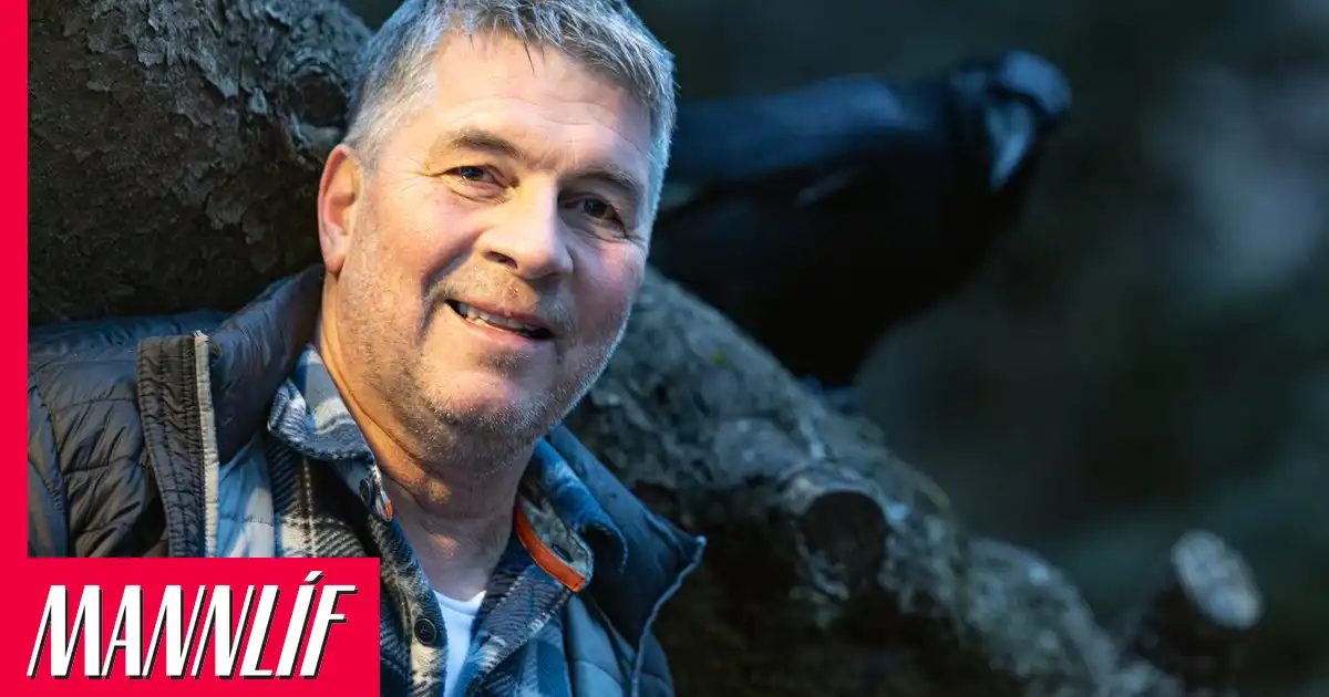 Dimma týnd á ný eftir átök við annan hrafn