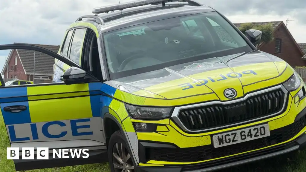 Downpatrick: Shot fired as officer is struck by stolen police car