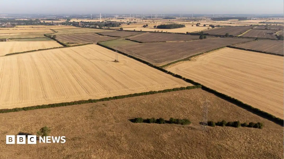 Drought could cause shortage of certain foods, head of National Farmers Union warns