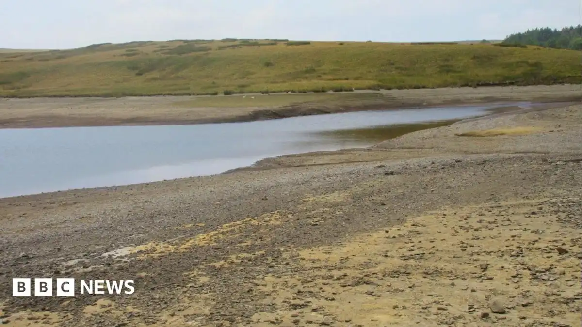 Drought declared for whole of Wales amid sustained high temperatures