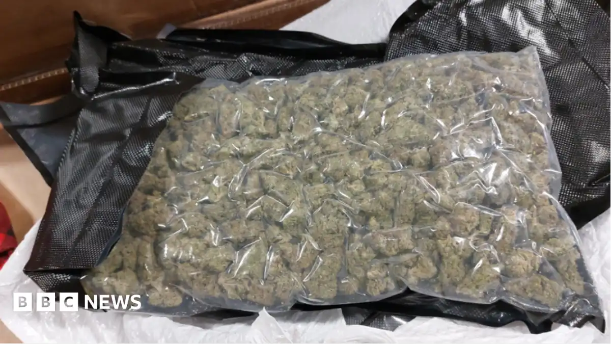 Drug mules flooding north of England face tougher penalties