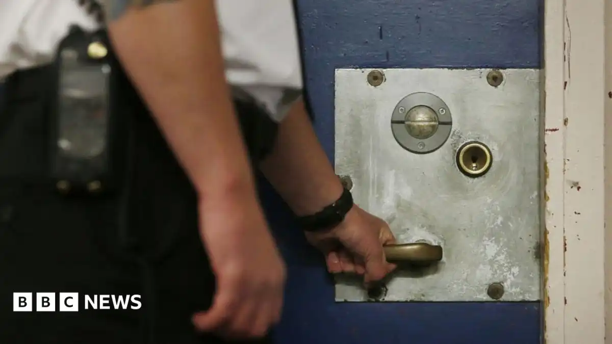 Early release scheme set to free 2,500 prisoners by end of year