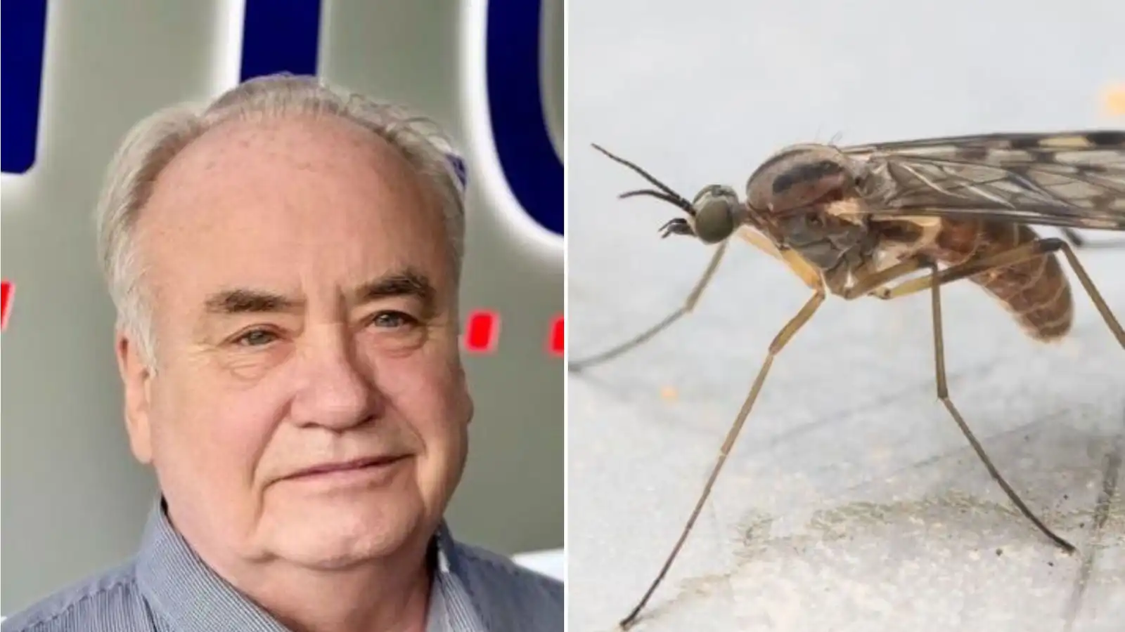 „Ég er ekki búinn að af­skrifa hana“ - Vísir