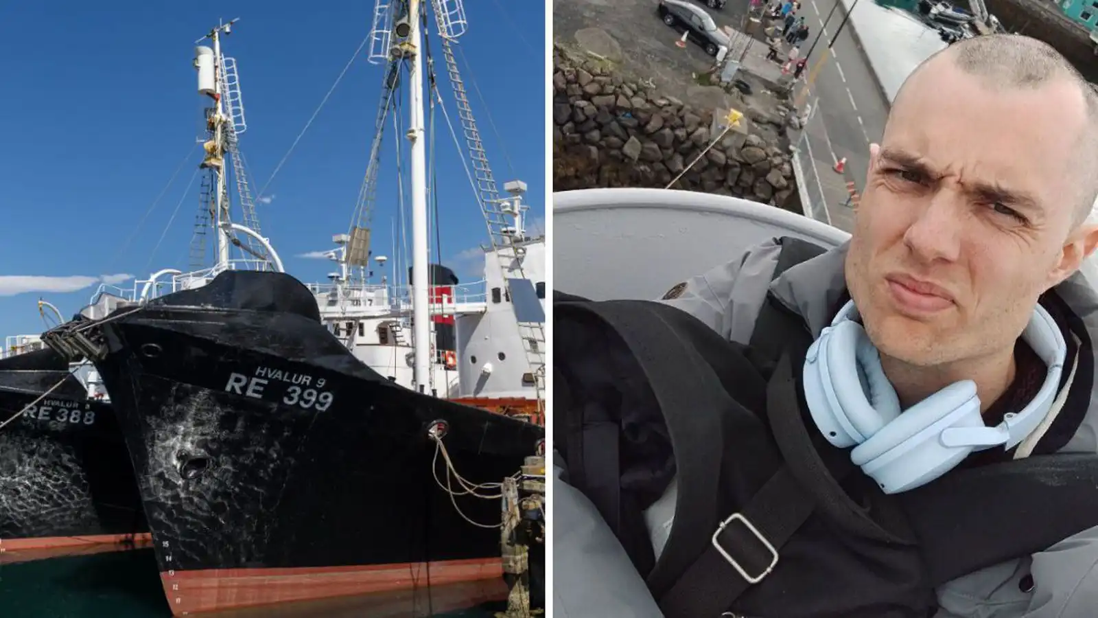 „Ég veit ekki hvað annað ég get gert til að hjálpa hvölunum“ - Vísir