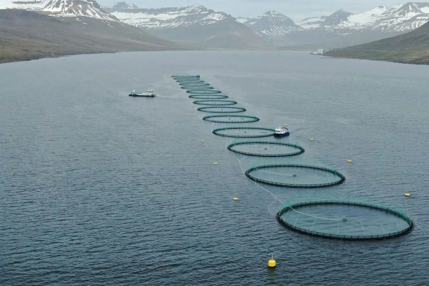 Eigendur sjávarjarða fá aðild að sjókvíaeldismáli - MBL.IS