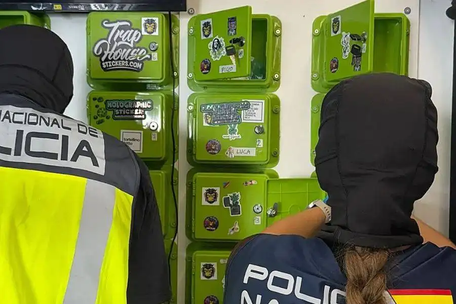 Eight arrested after cannabis club raids in Playa de las Américas
