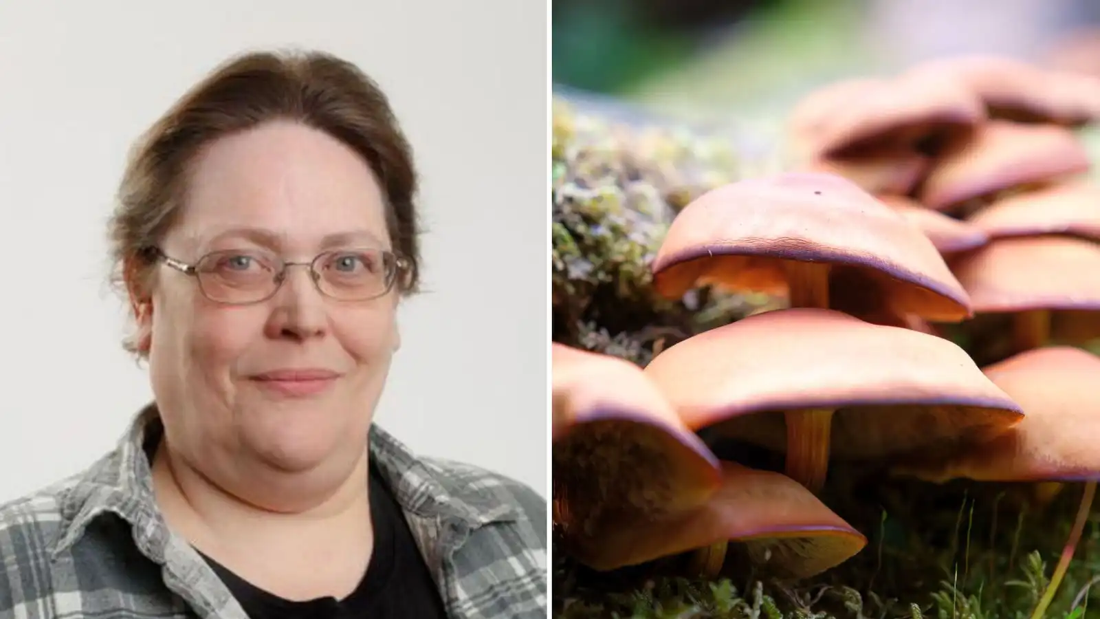 Ein mat­skeið og þá er dauðinn vís - Vísir
