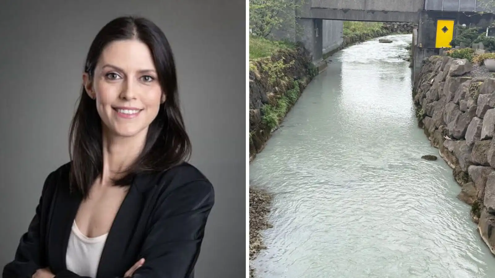 Ekkert sem bendi til fækkunar fugla við Varm­á - Vísir