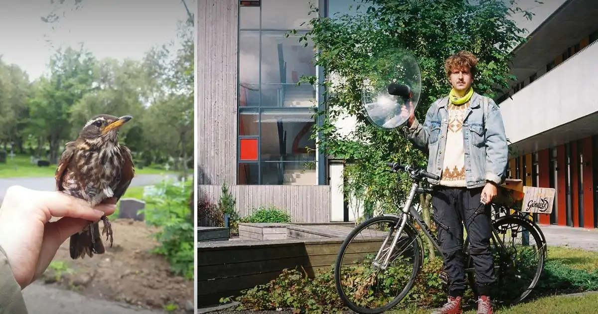 Ekki sama hvort það er skógarþröstur í Vesturbæ eða Kópavogi