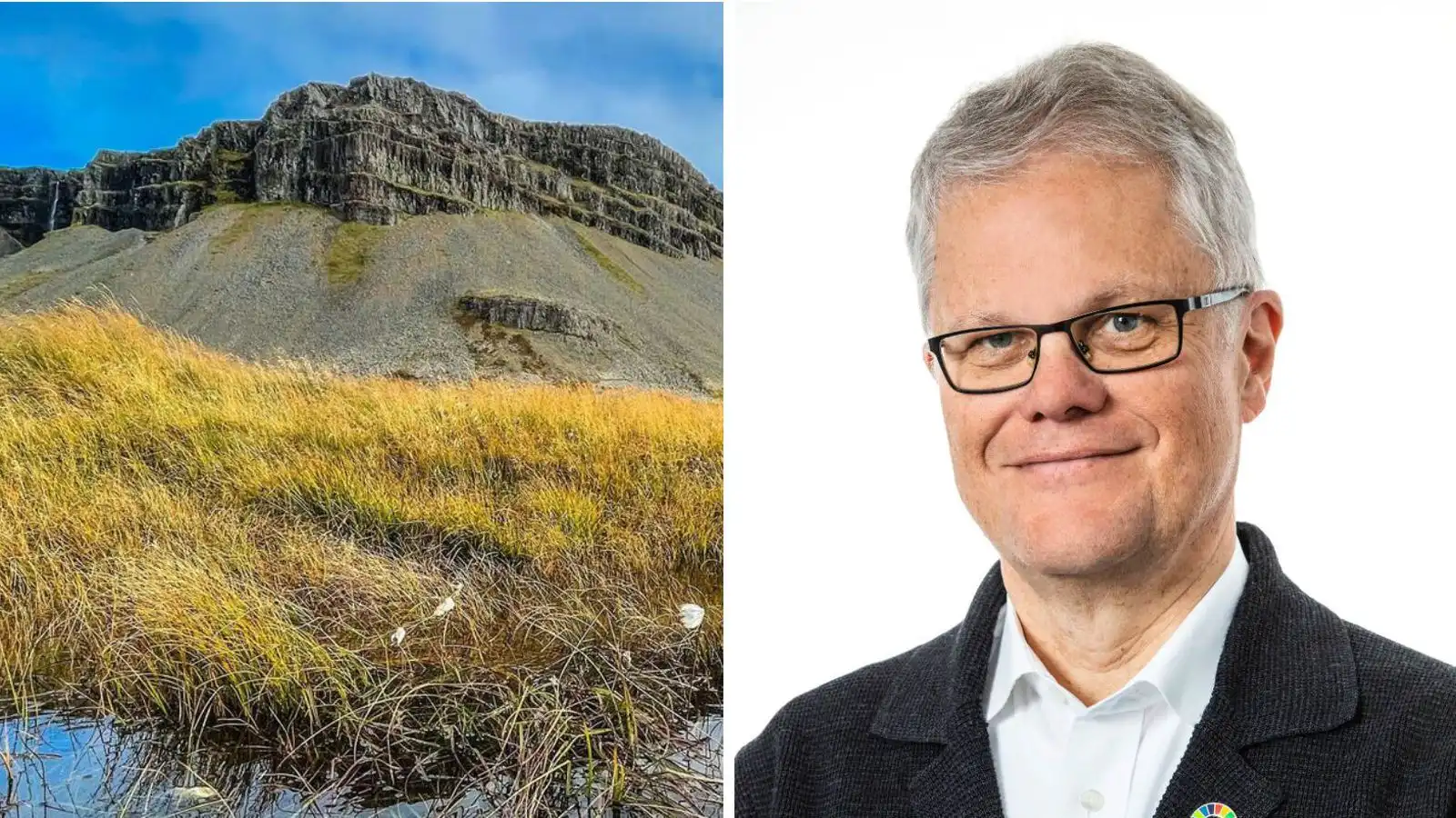 Endur­reisn mýranna megi ekki bíða lengur - Vísir