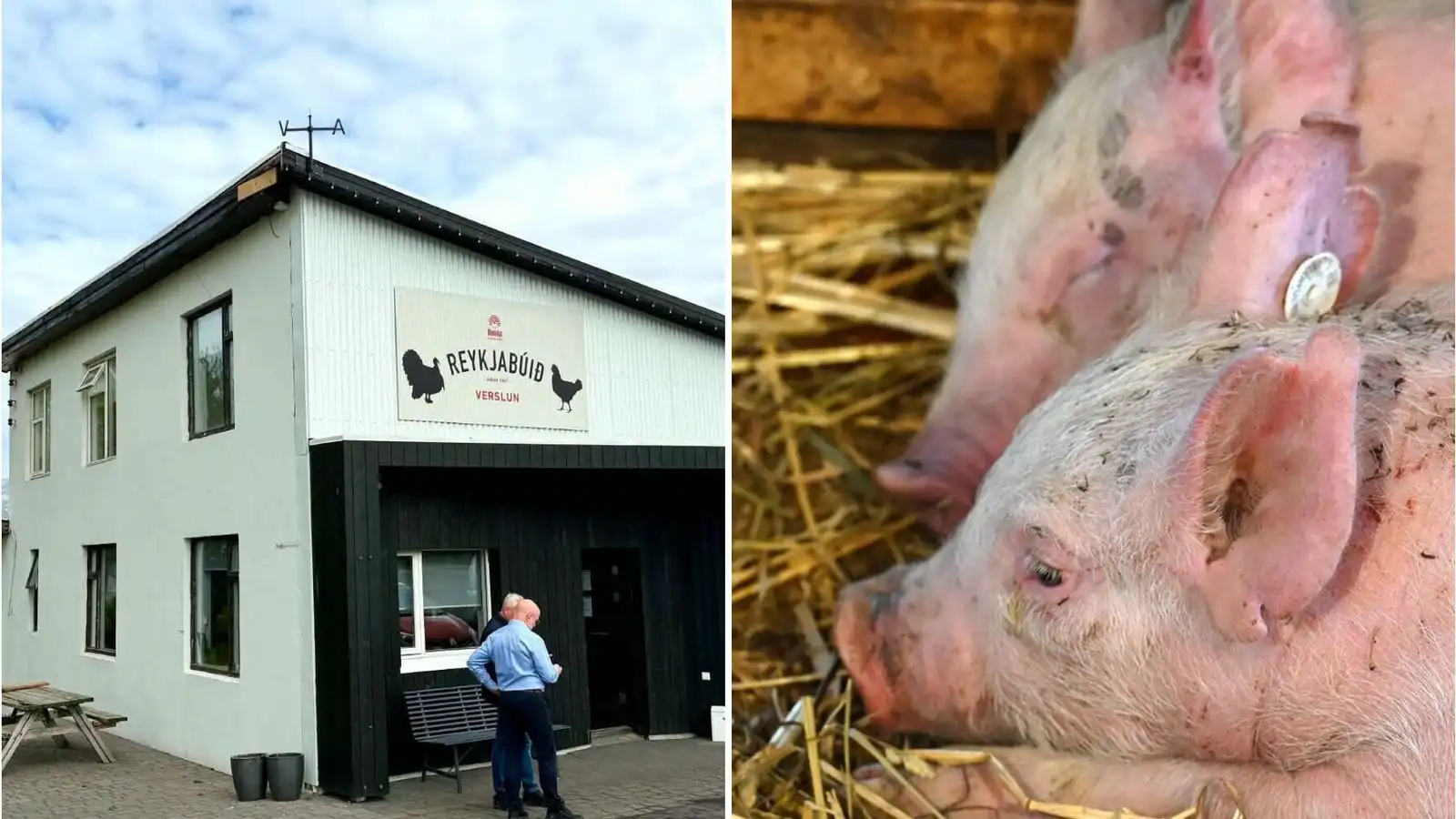 Enginn hand­tekinn en á­fram á­ætlað að sömu aðilar hafi verið að verki - Vísir