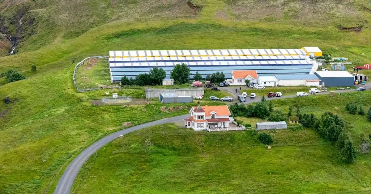 Enginn liggur undir grun um innbrotin á búin þrjú