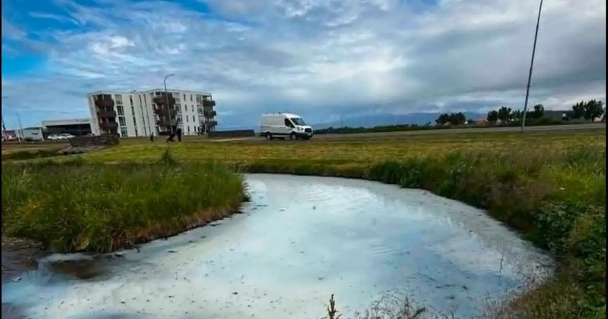 Enginn skaði fyrir lífríkið þegar málning komst í Sauðá