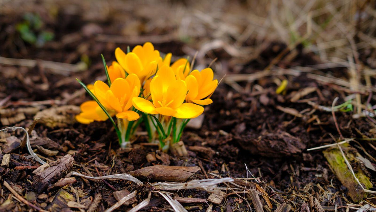 Enn má búast við slyddu eða snjó­komu - Vísir