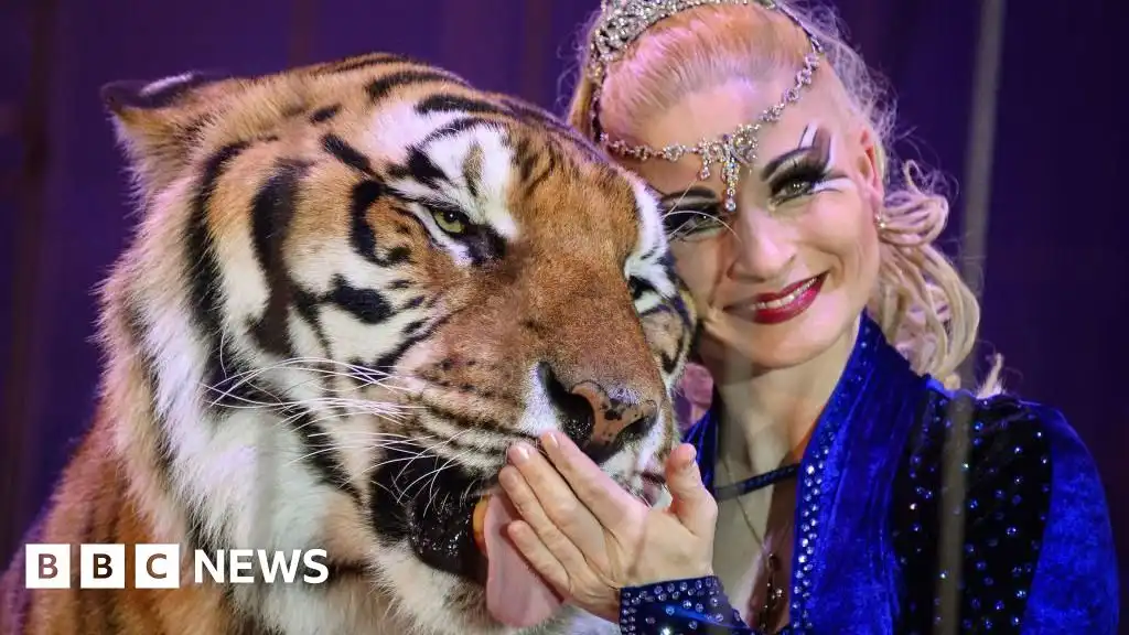 Escaped tiger shot by police after attacking man near Leipzig