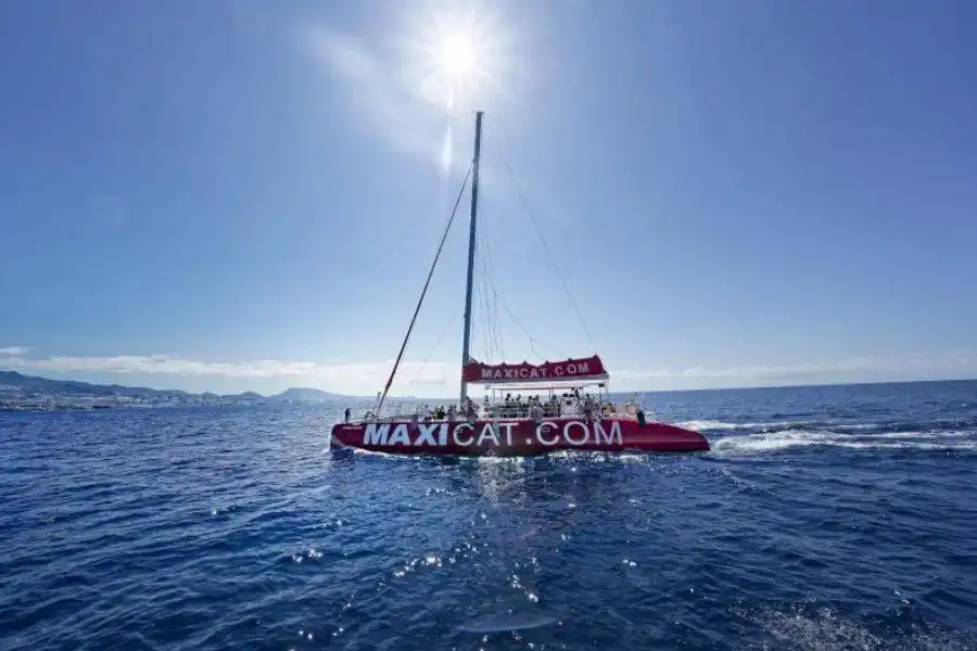 Excursion company in Costa Adeje faces investigation