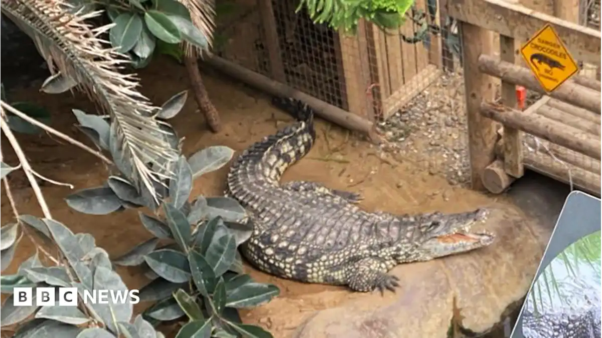 Family of boy attacked by crocodile thank Cambridgeshire zoo staff