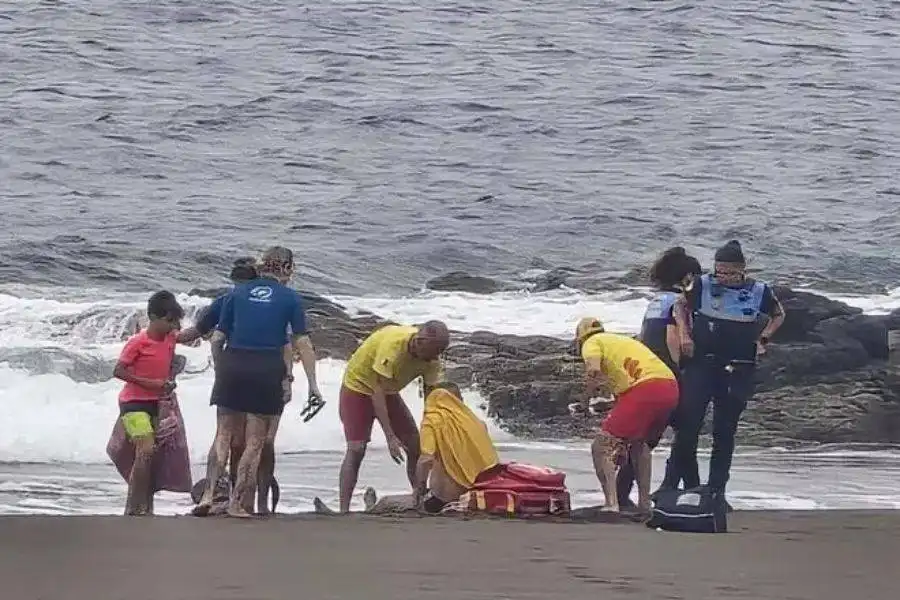 Father and son rescued from sea at Gran Canaria beach