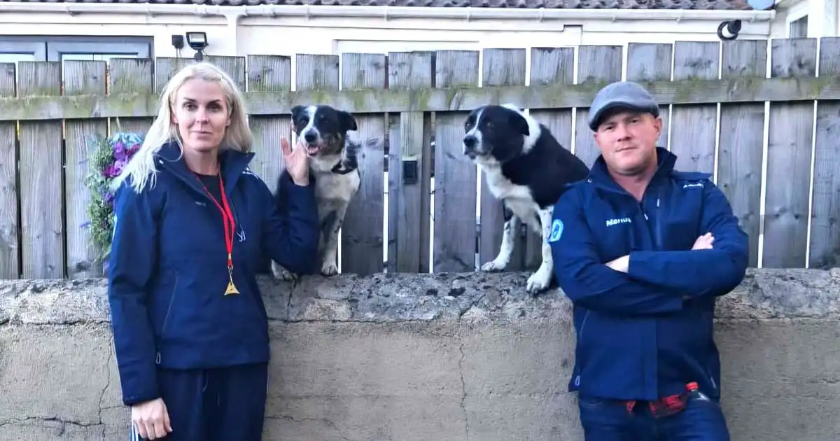 Ferfætt systkini keppa á HM smalahunda