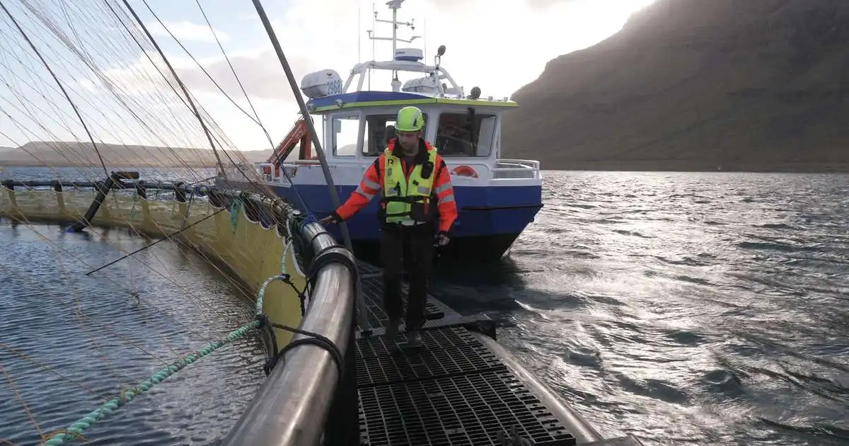Fiskeldi gæti skapað 10 til 15 störf á Seyðisfirði