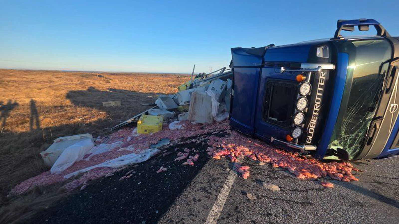 Fiskflutningabíll valt á Þorlákshafnarvegi - Vísir