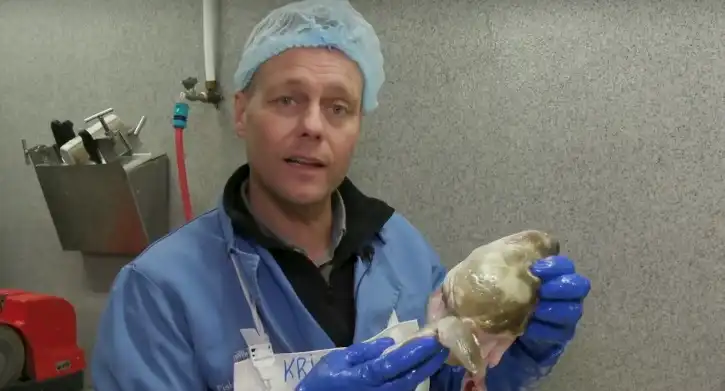Fiskikónginum blöskraði þegar hann hlustaði á útvarpið – Svarar fyrir sig og birtir myndir