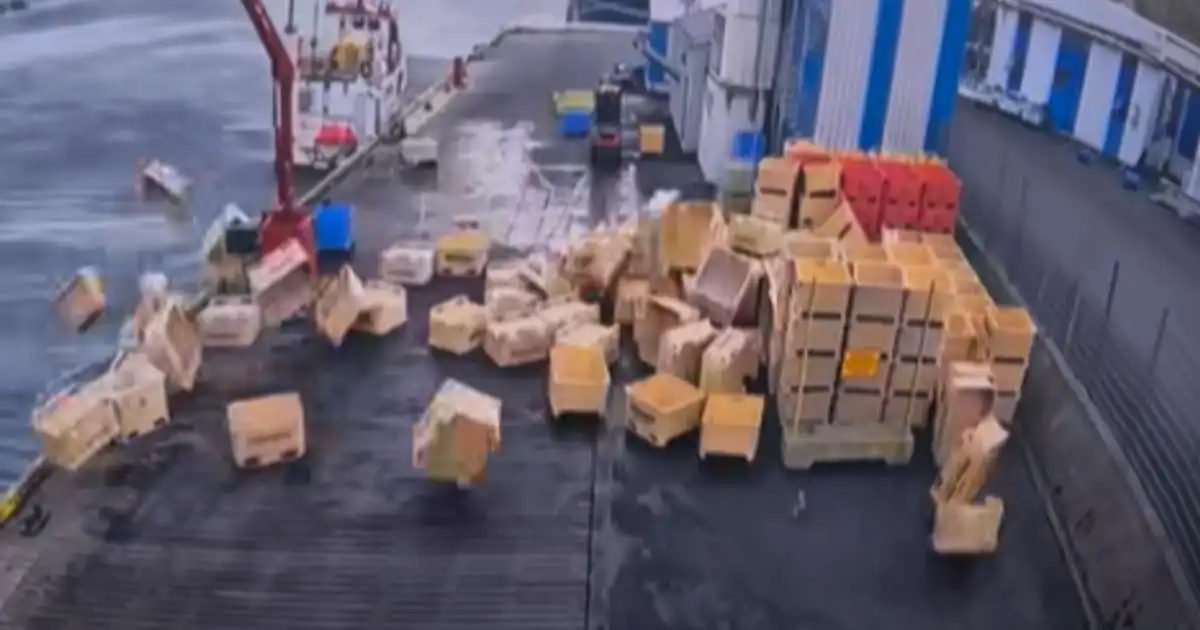 Fiskikör flugu í Norðfjarðarhöfn: „Helvítis fokking fokk“