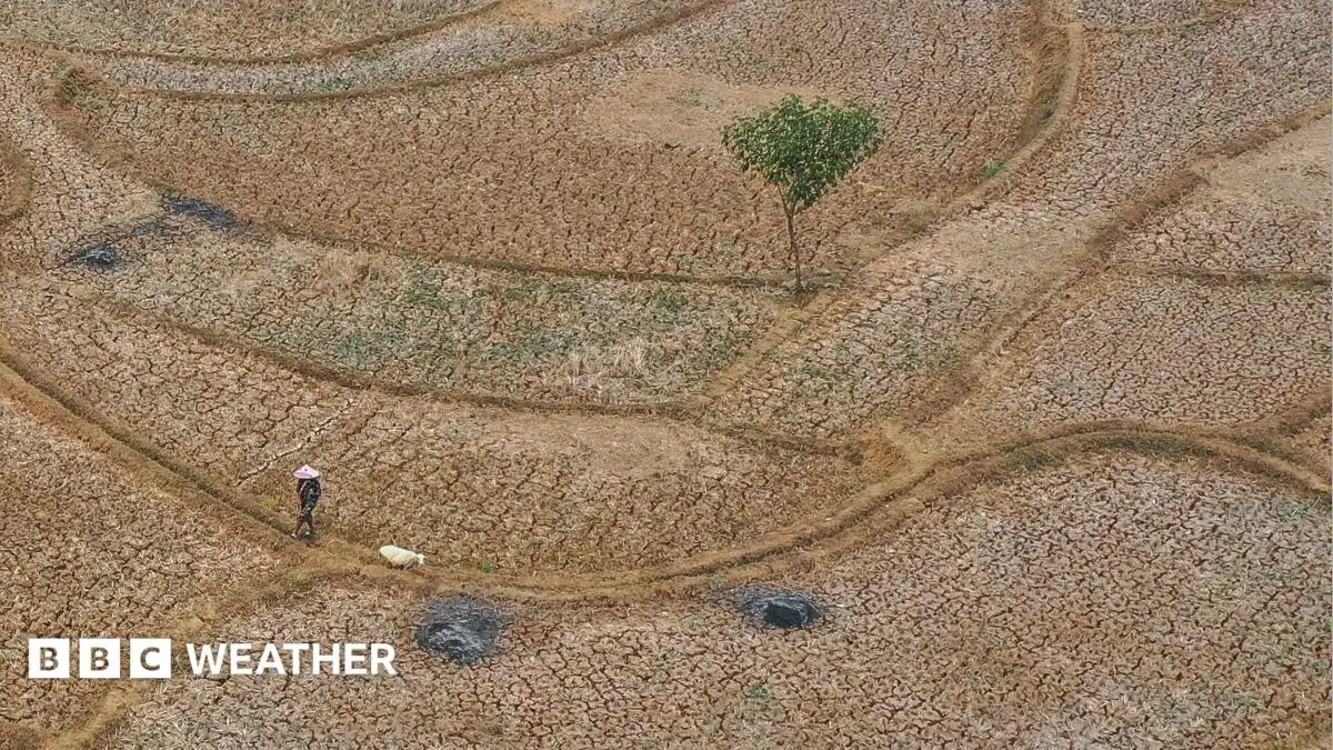 Five ways El Niño is affecting the weather around the world