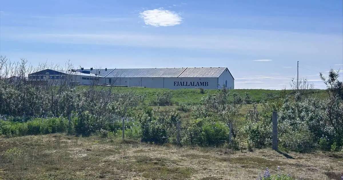 Fjallalamb vildi að Byggðastofnun afskrifaði lán