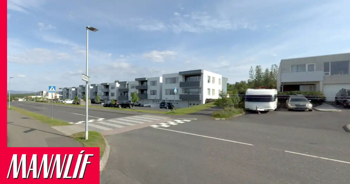 Fjölnir Þorgeirs notar gervigreind til að finna þjófa