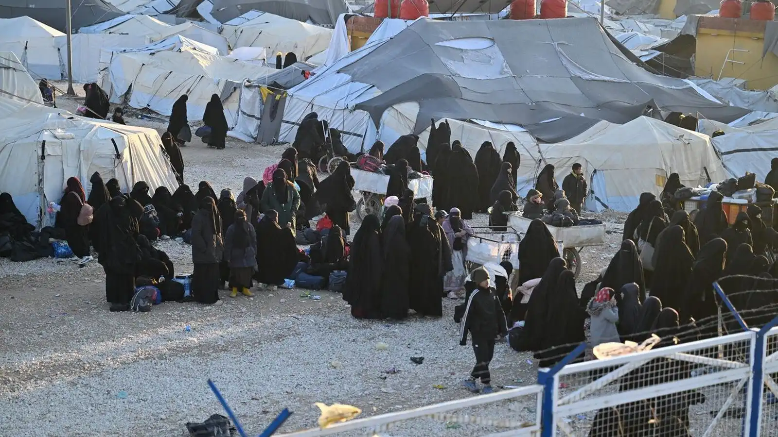Fjórar „brúðir ISIS“ snúa aftur til Ástralíu - Vísir
