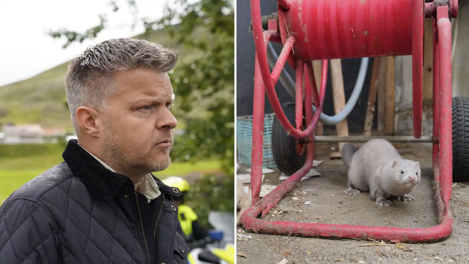 Fleiri en einn hafi verið að verki - Vísir