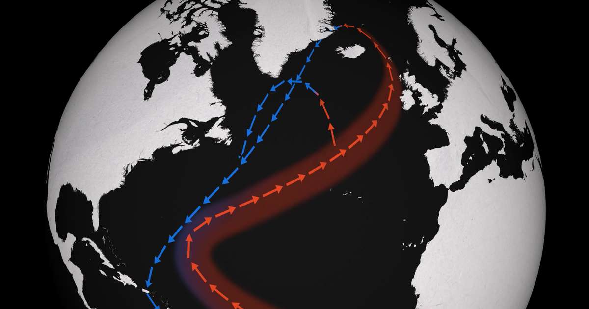 Fleiri vinna í ísbúð en rannsaka hafstrauma á Íslandi