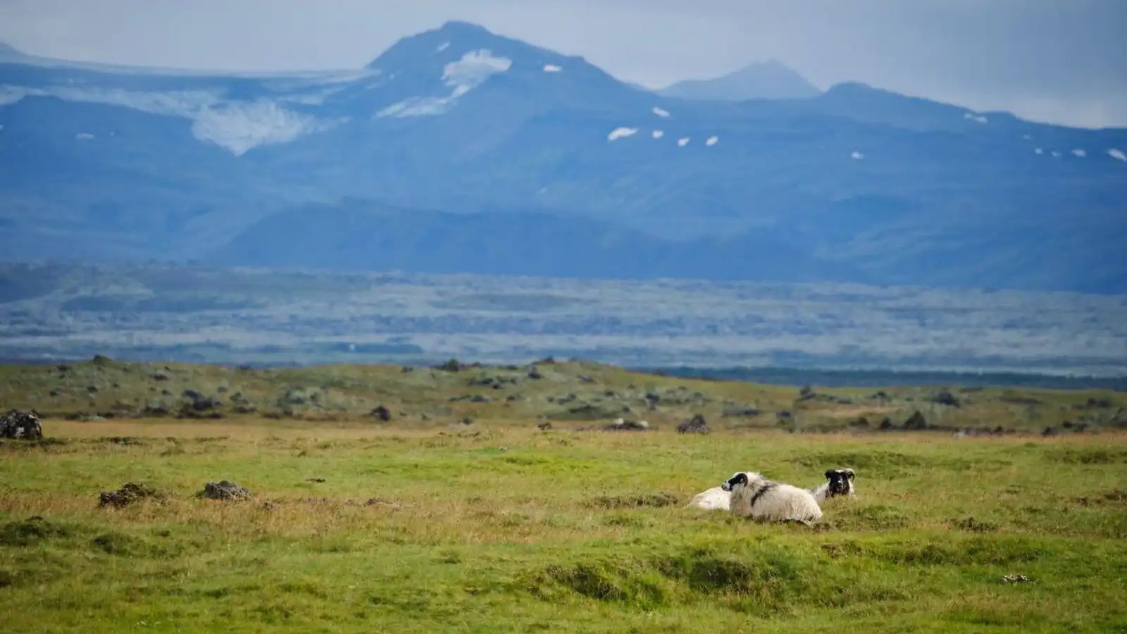 Fólki ráð­lagt að fylgjast vel með veður­spám - Vísir