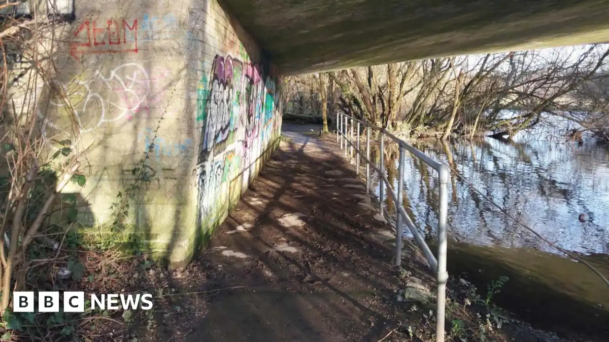 Fordingbridge boy rapists given custody sentences by Court of Appeal