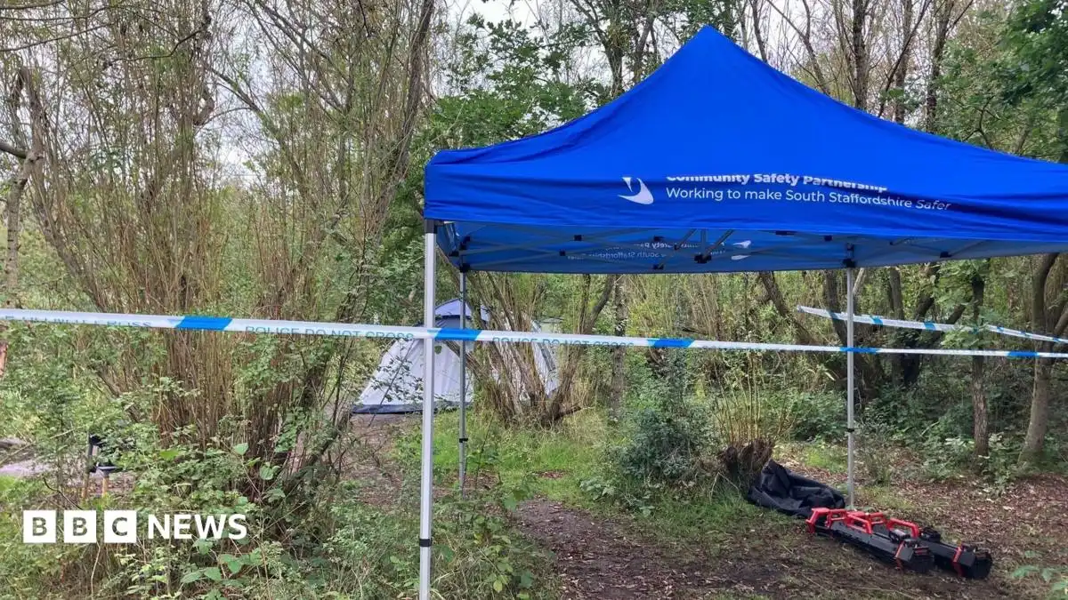 Four murder arrests over baby's death in Staffordshire woodland