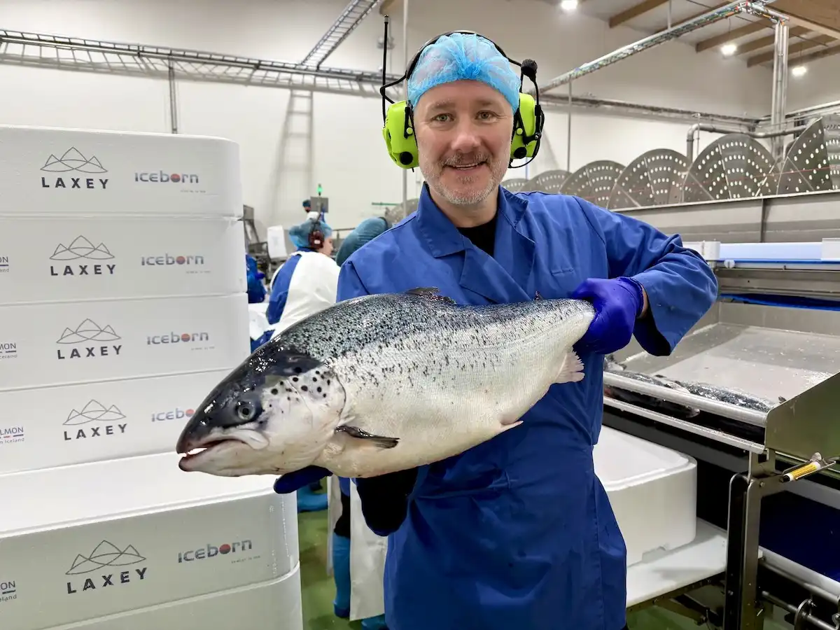 Fréttabréf SFS – Loðna, lax og kúlufiskur