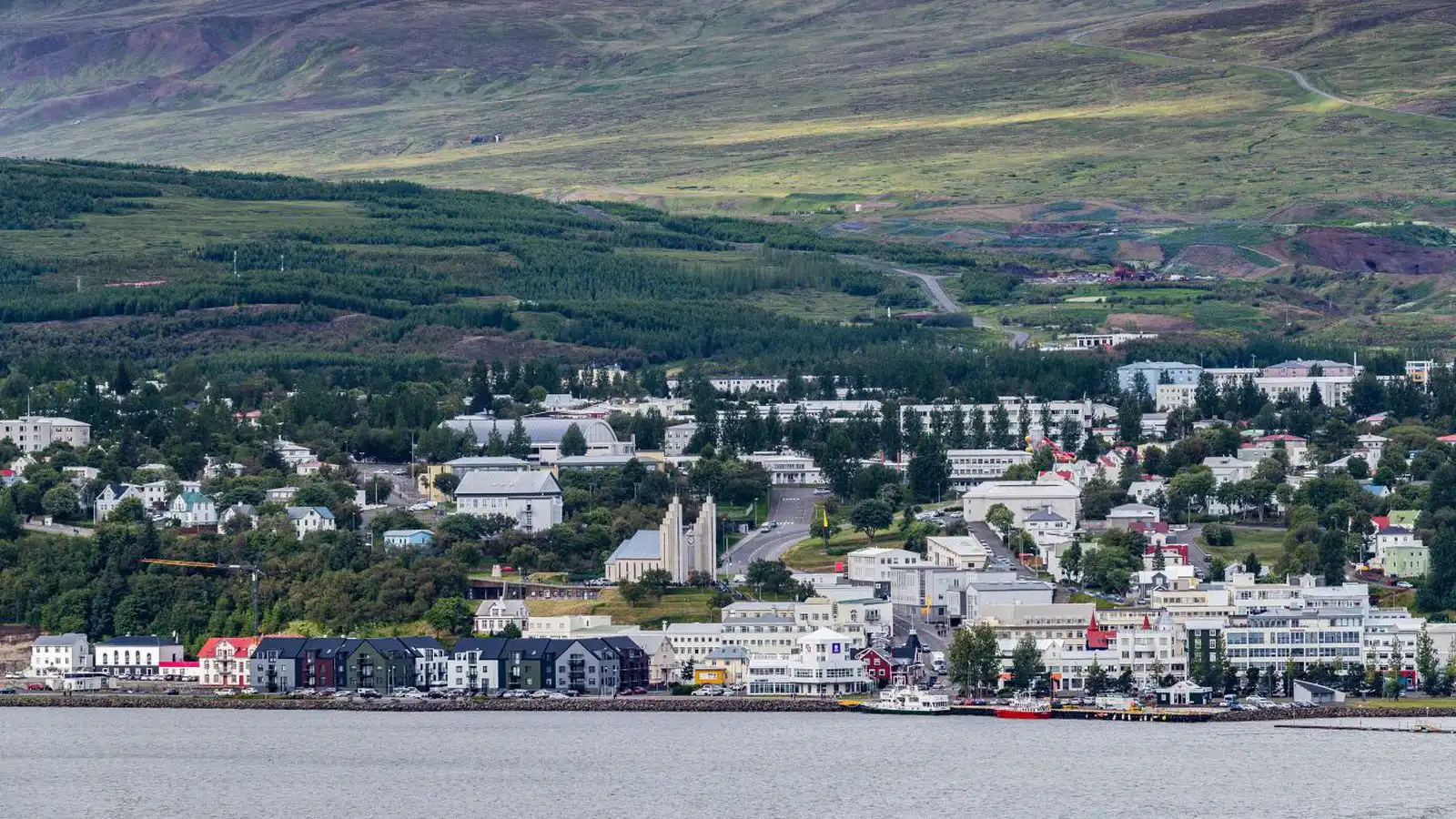 Fundu byssur í bílum og hand­tóku fimm - Vísir