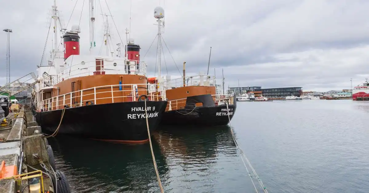 Fyrstu hvalirnir á leið í land