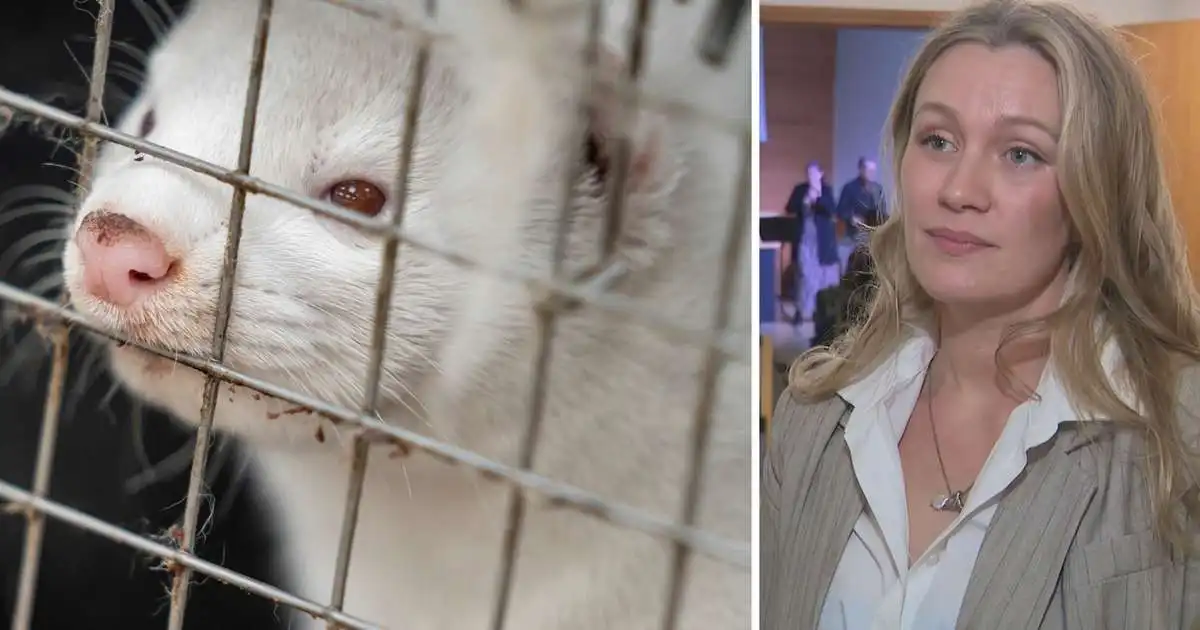Gengur ekki að fjöldaframleiða framandi ágenga tegund