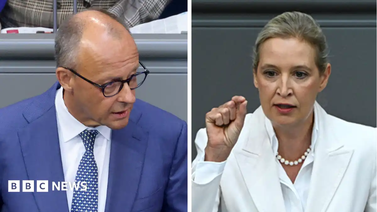 Germany's Merz attacks AfD in parliament after far-right election win